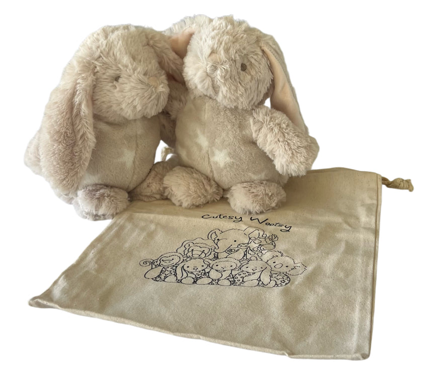 Cuddle Duo Delight Gift Bag