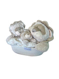 Load image into Gallery viewer, Dream Team Bundles in White Cotton Nursery Basket - Cutesy Wootsy
