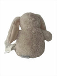 Load image into Gallery viewer, Sebastian the Bunny Plush Pal - Cutesy Wootsy
