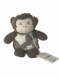 Load image into Gallery viewer, Finn the Monkey Plush Pal - Cutesy Wootsy

